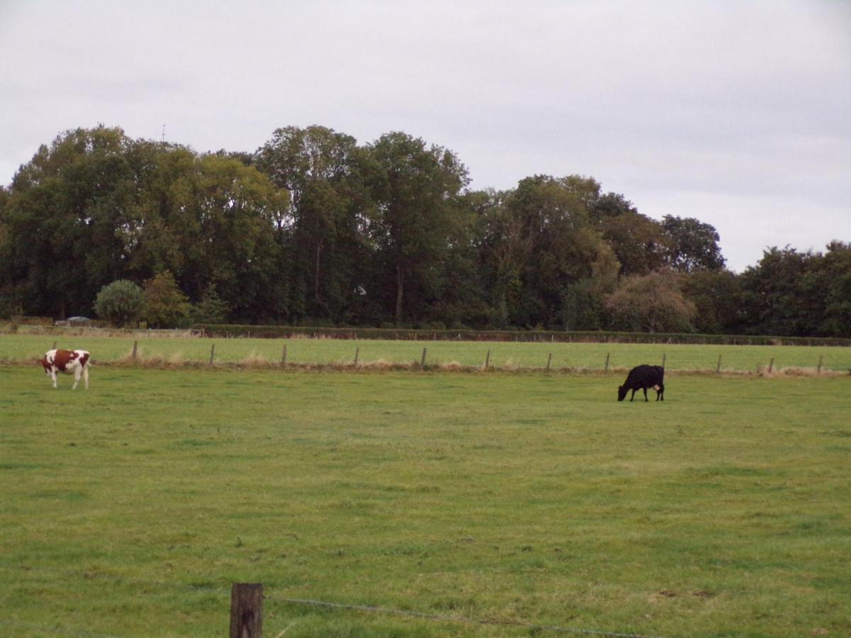 Riposo Villa Poperinge Bagian luar foto